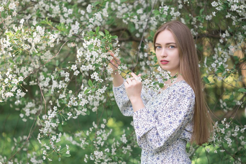 Фотография автора Wolf Adrian