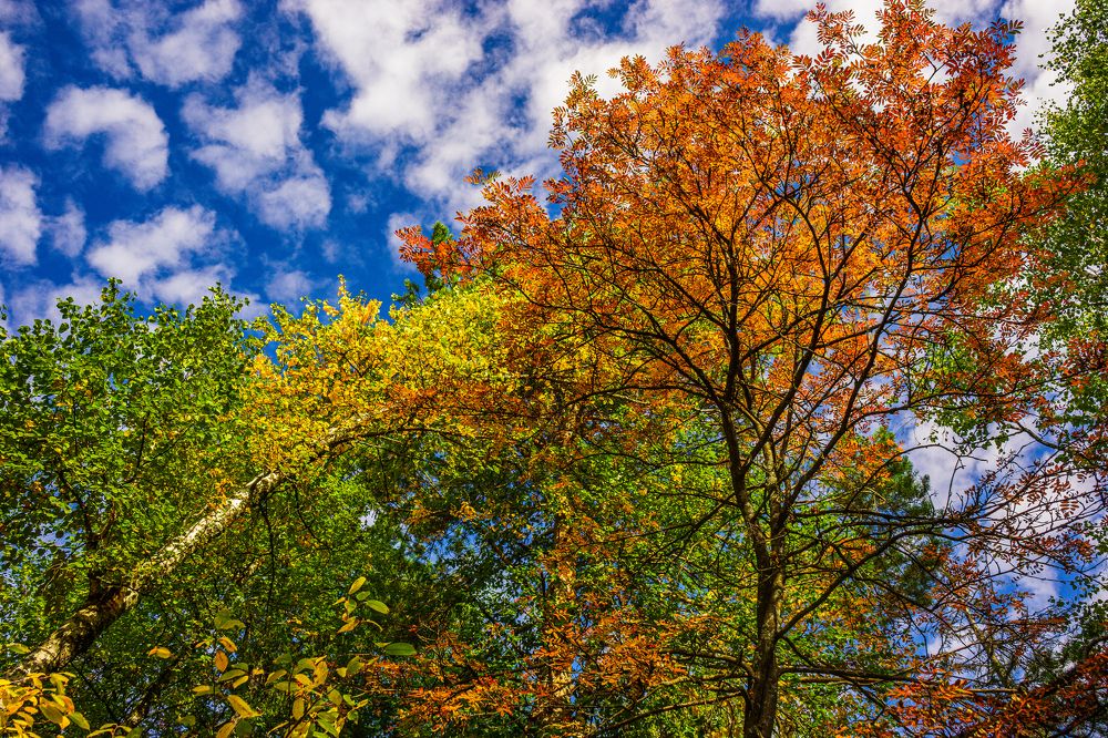 Photograph by Артём Александрович