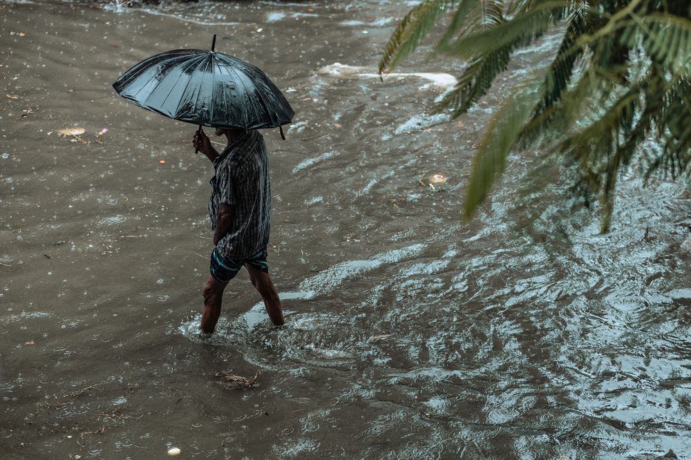 Фотография автора Hasan Mahnud