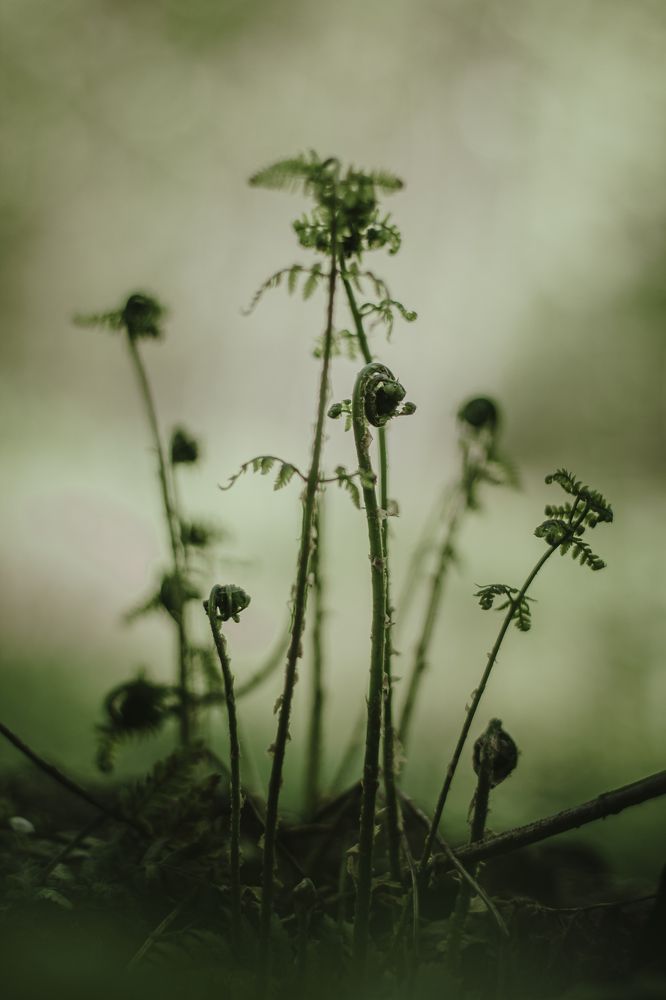 Photograph by Полина Каменкова