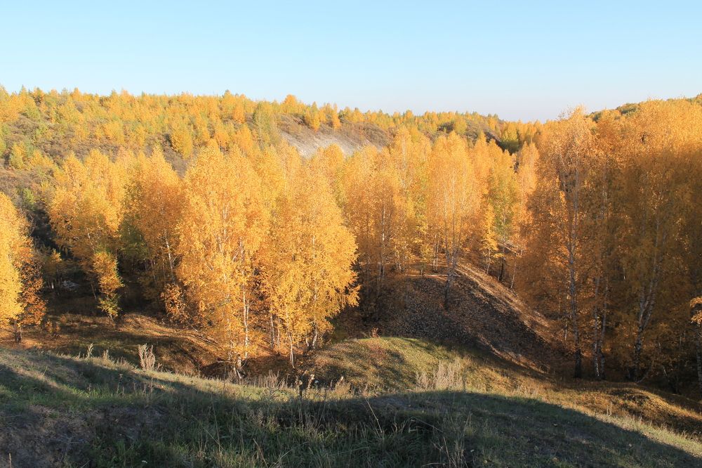 Photograph by Анна Горбунова