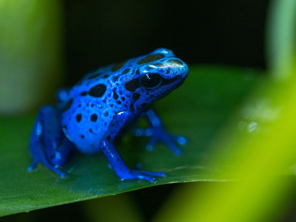 Photograph by Olga Link