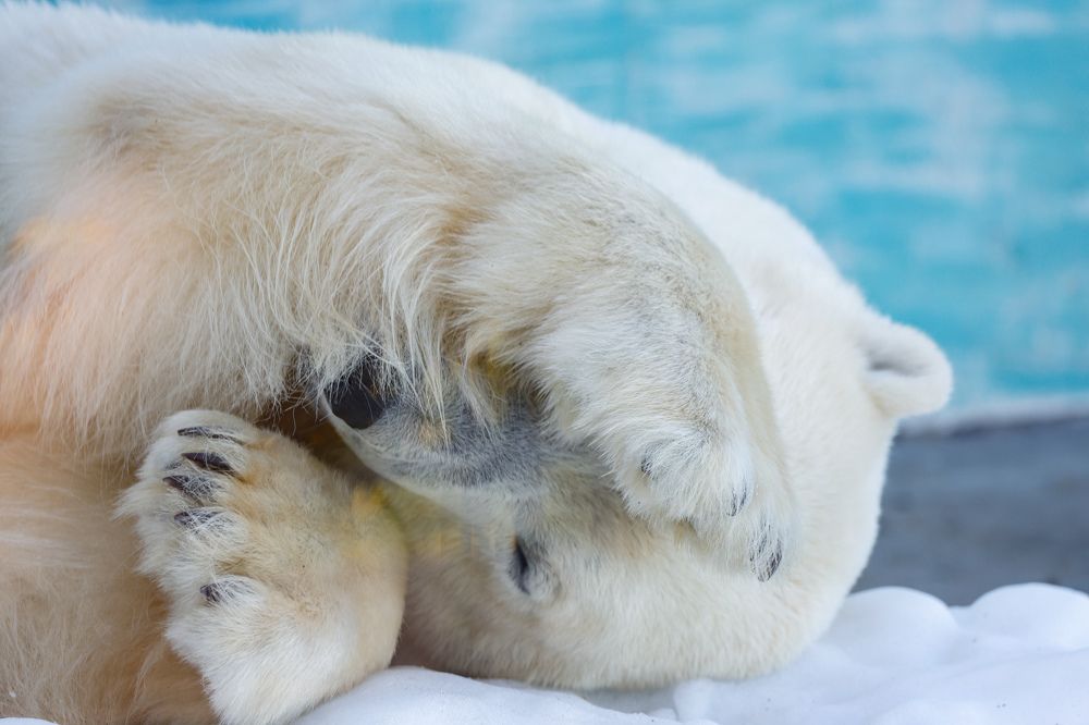 Photograph by Валентин Колинько