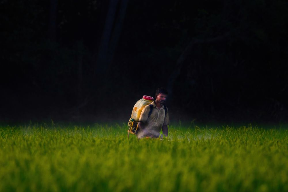 Photograph by G N RAJA