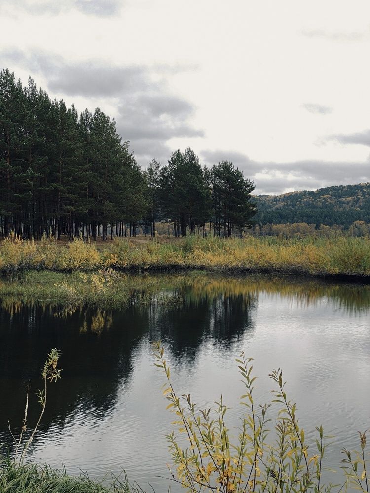 Photograph by Швай Наталья