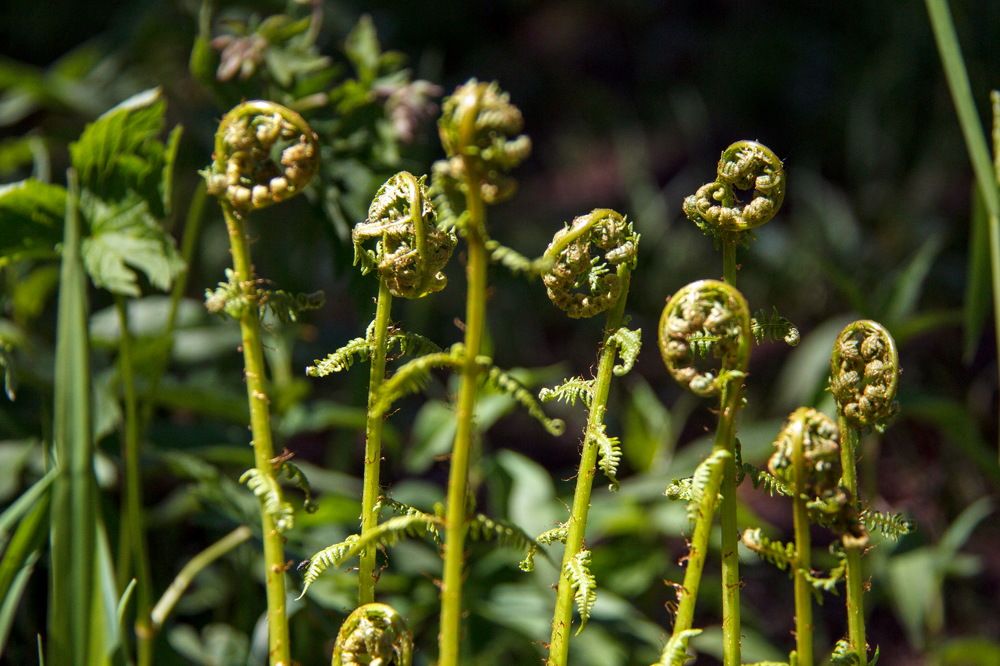 Photograph by Ольга