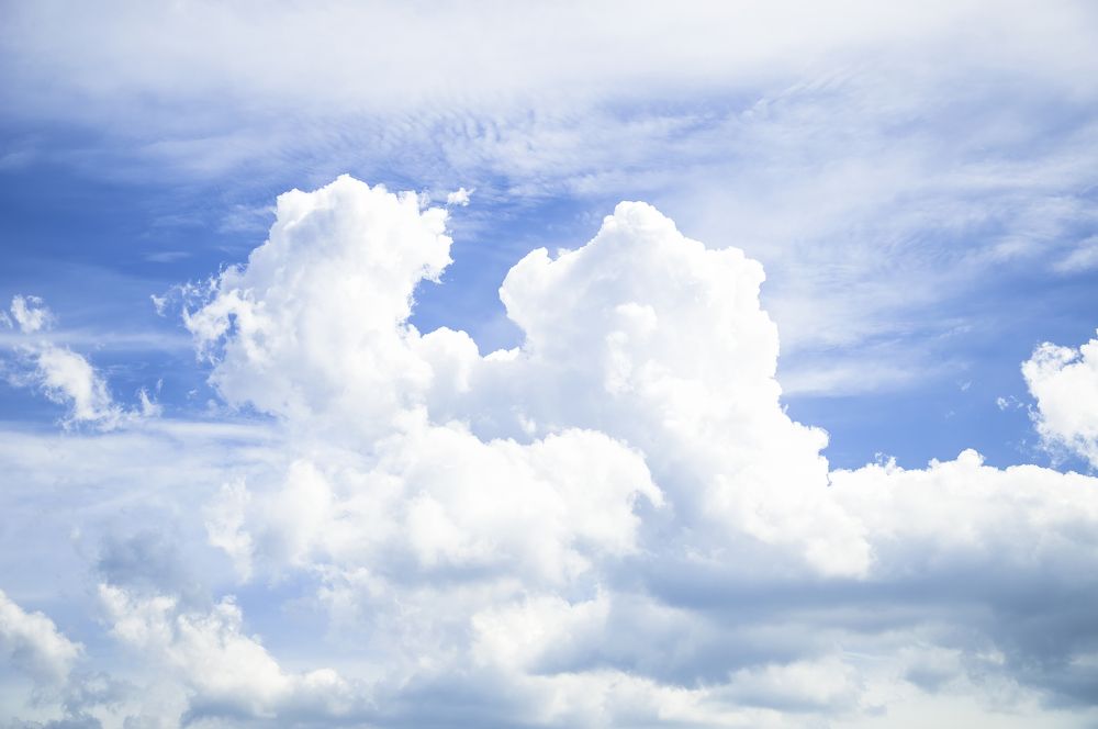 Photograph by G N RAJA