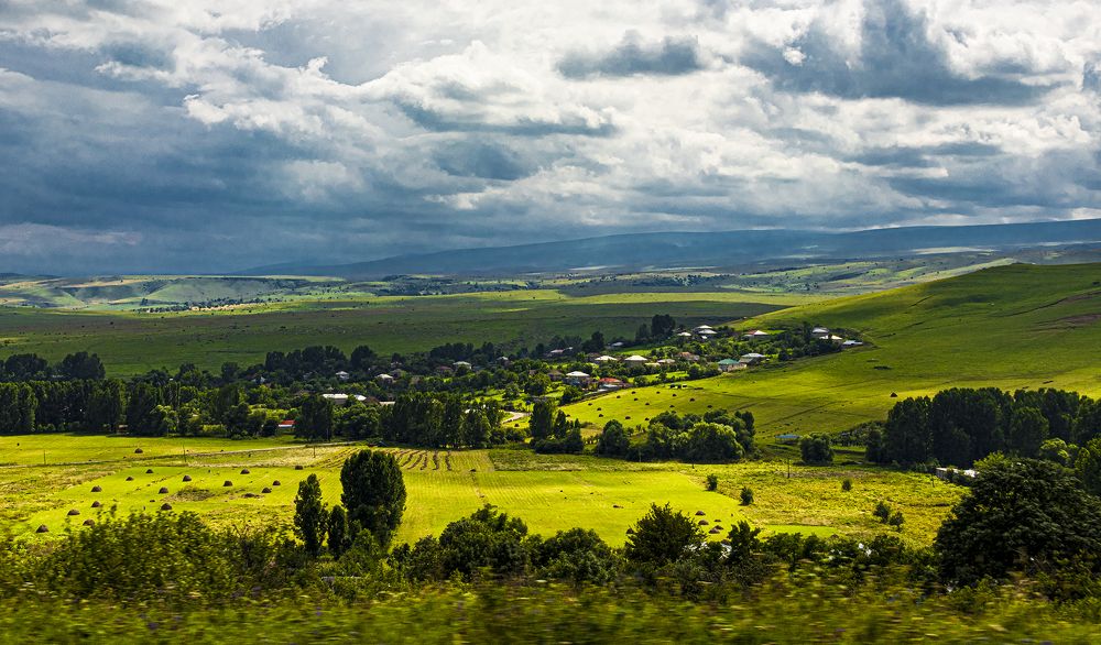 Photograph by Alex Kalpus