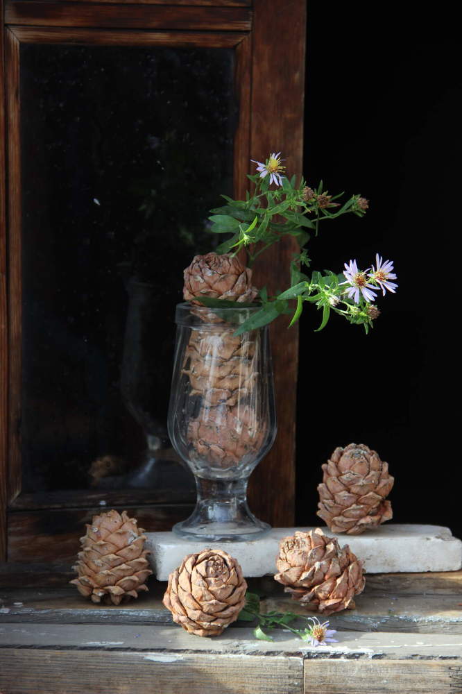 Photograph by Алина