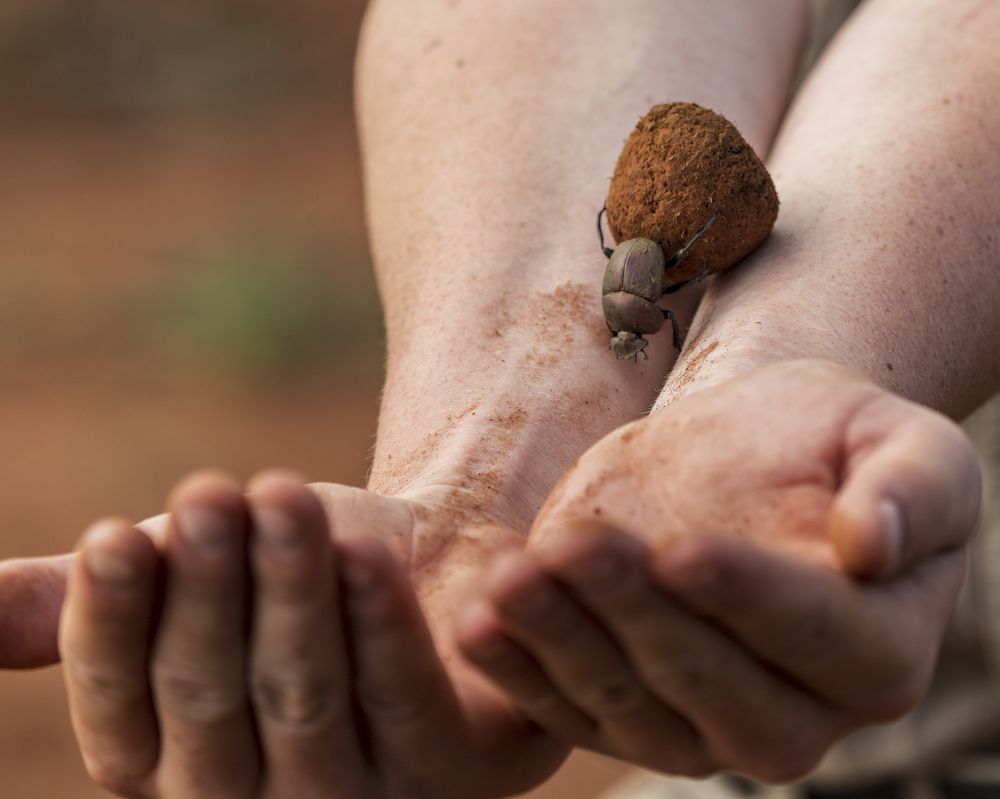 Photograph by Ricardo Ferreira