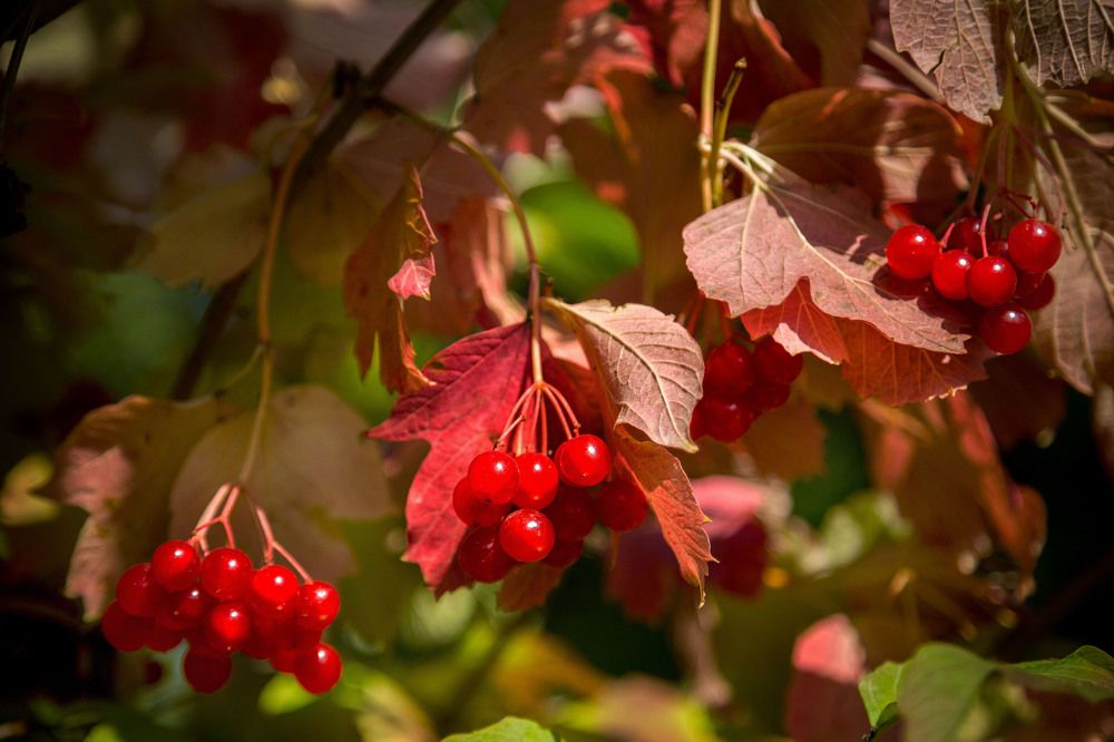 Photograph by Корнилова Мария