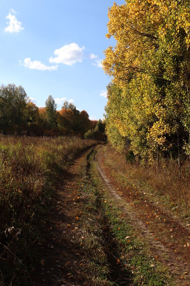 Photograph by Анна Горбунова