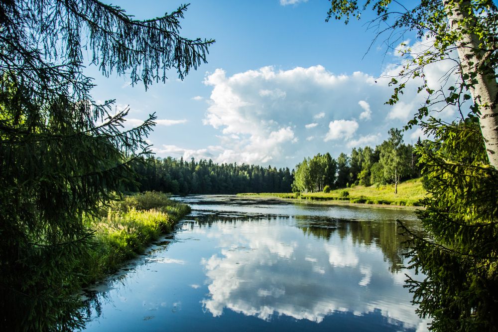 Photograph by Корнилова Мария