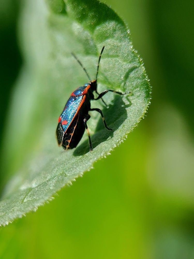 Photograph by Ксения Лукина