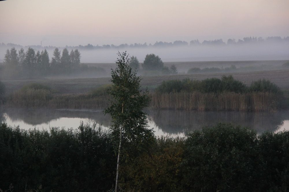 Photograph by Зоя Кулько