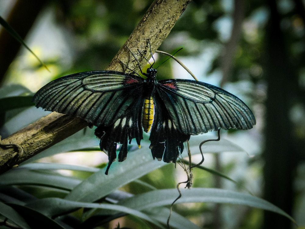 Photograph by Анна Сухарева