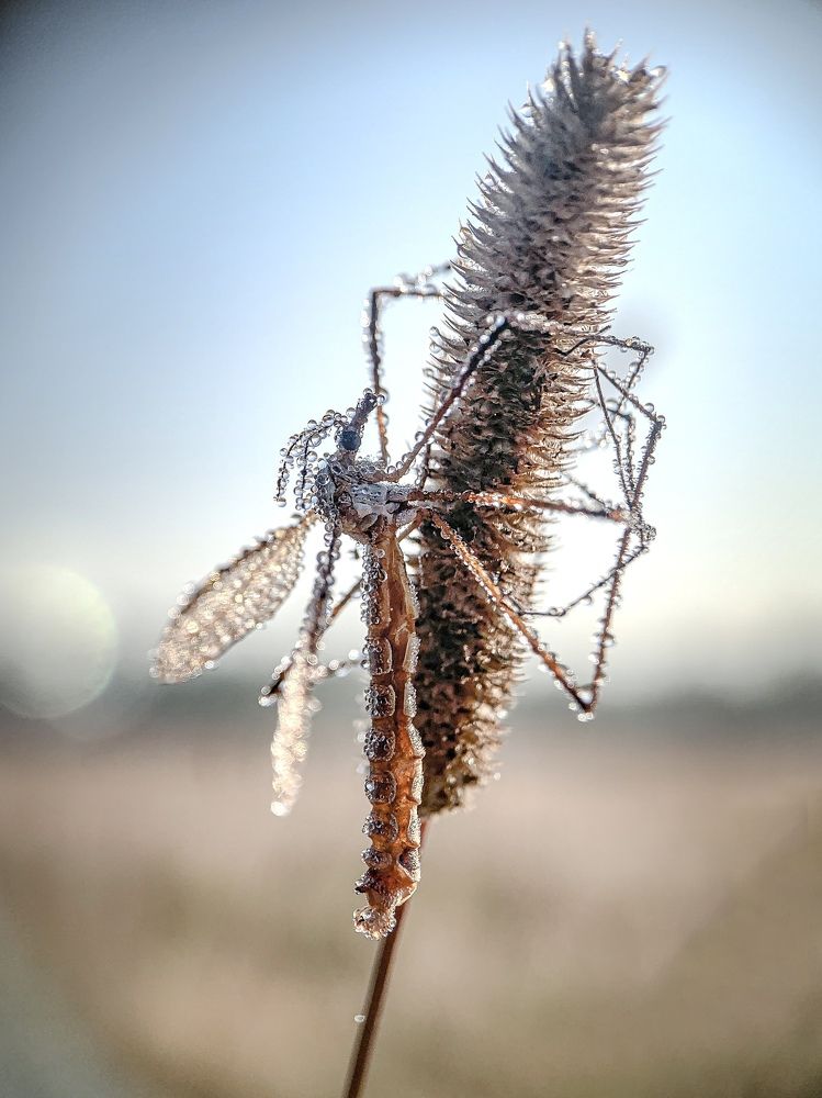 Photograph by Татьяна Гринько