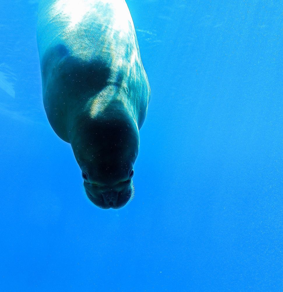 Photograph by Анна Сухарева