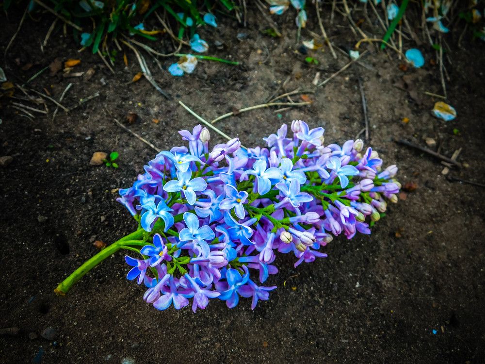 Photograph by Анна Сухарева