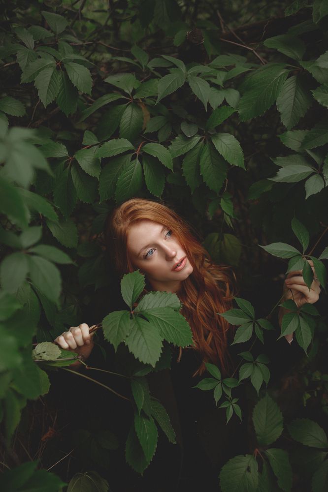 Фотография автора Кирсанова Наталья