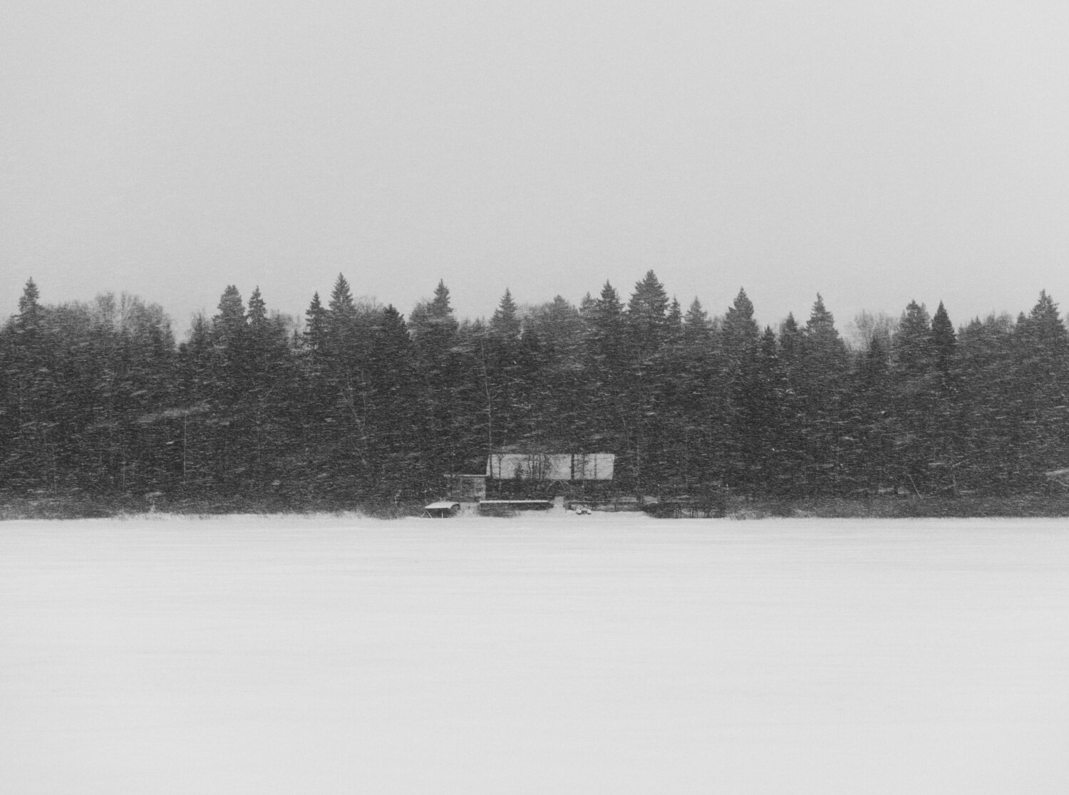 Photo #8075021