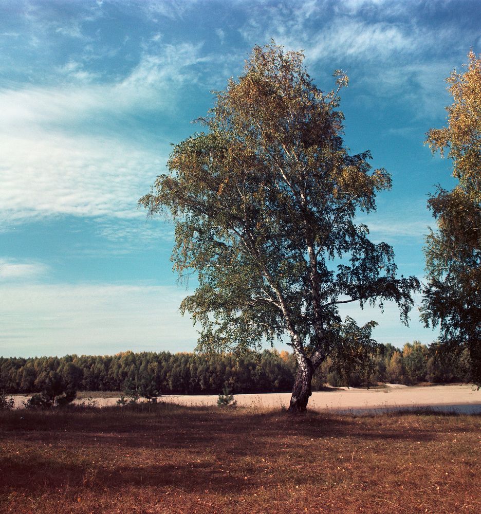 Фотография автора Максим Гавриленко