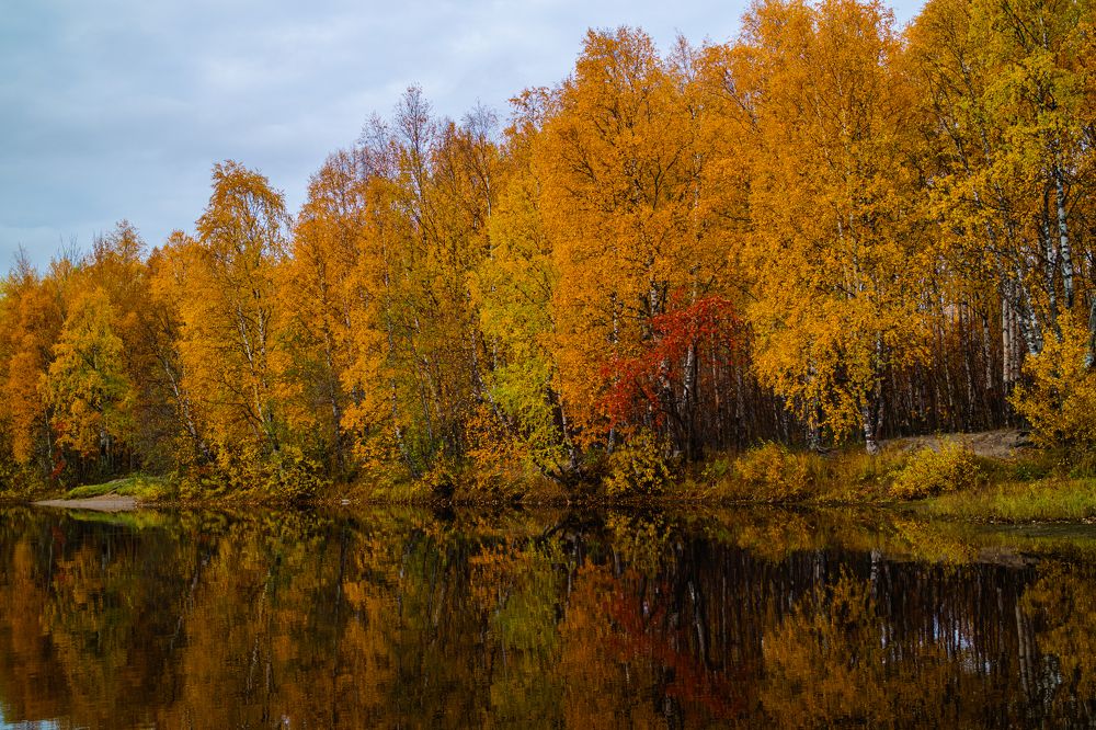 Photograph by Светлана Фокина