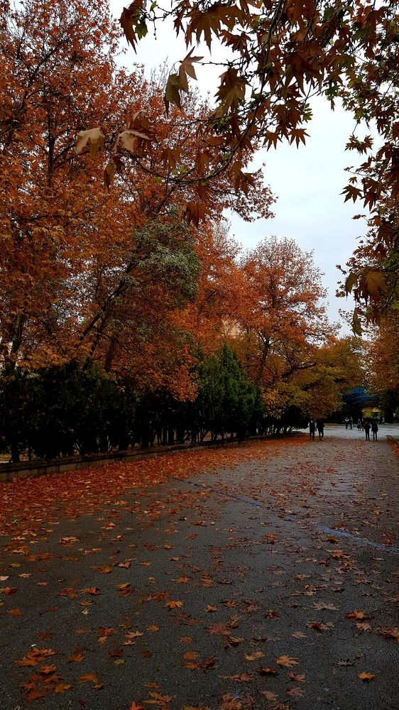 Photograph by Mohammad Mahdi Khojasteh