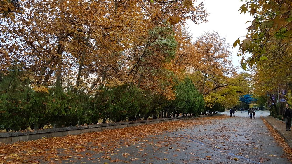 Photograph by Mohammad Mahdi Khojasteh