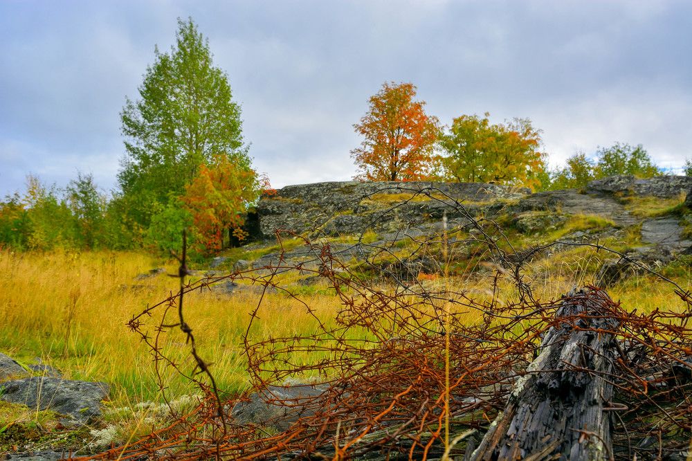 Photograph by Алексей Ильин