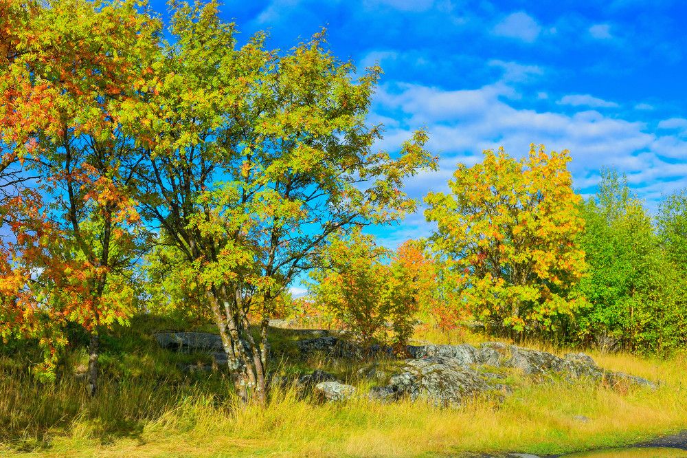 Photograph by Алексей Ильин