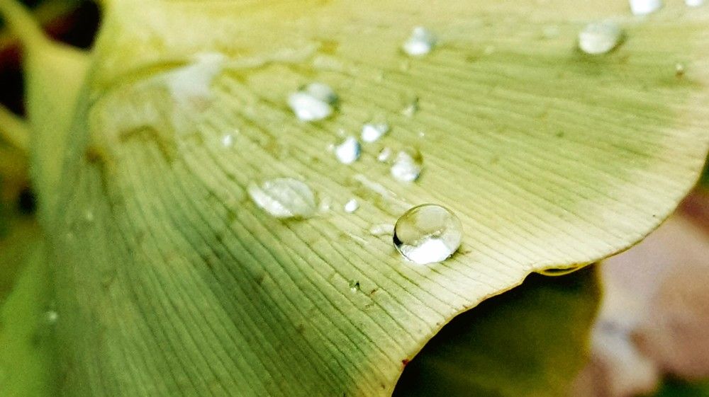 Photograph by Mohammad Mahdi Khojasteh