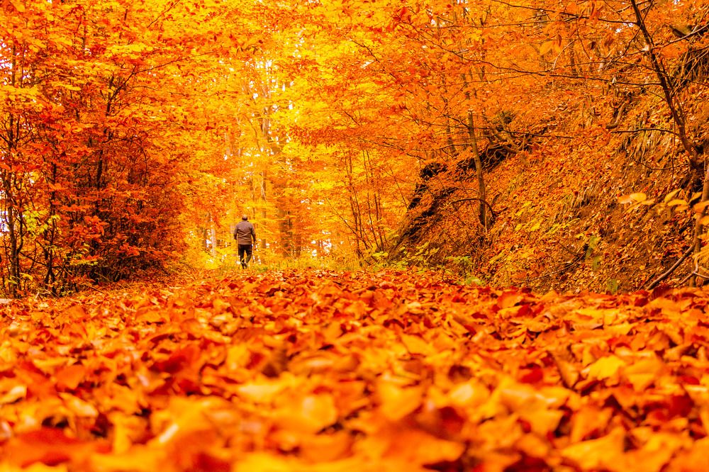 Photograph by Daniel Chobanov