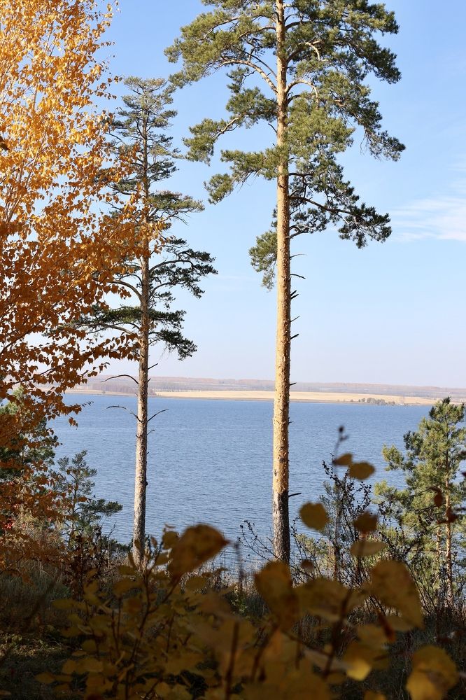 Photograph by Елена Секрет