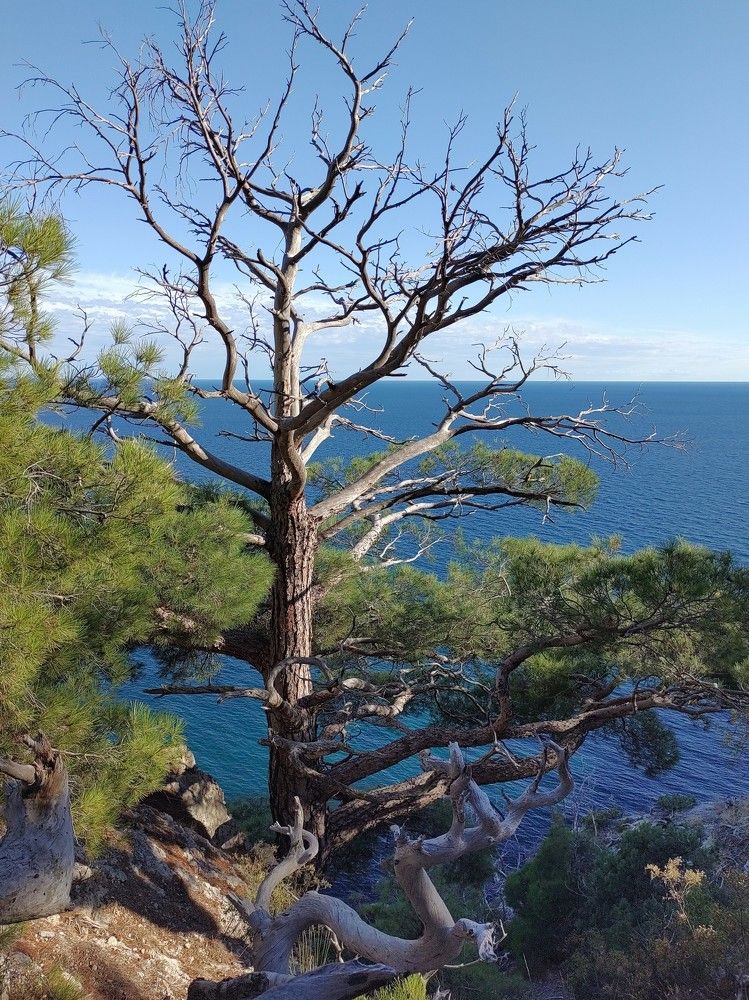 Photograph by Василий Селиванов