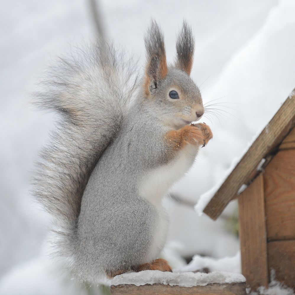 Photograph by Алексей Volg