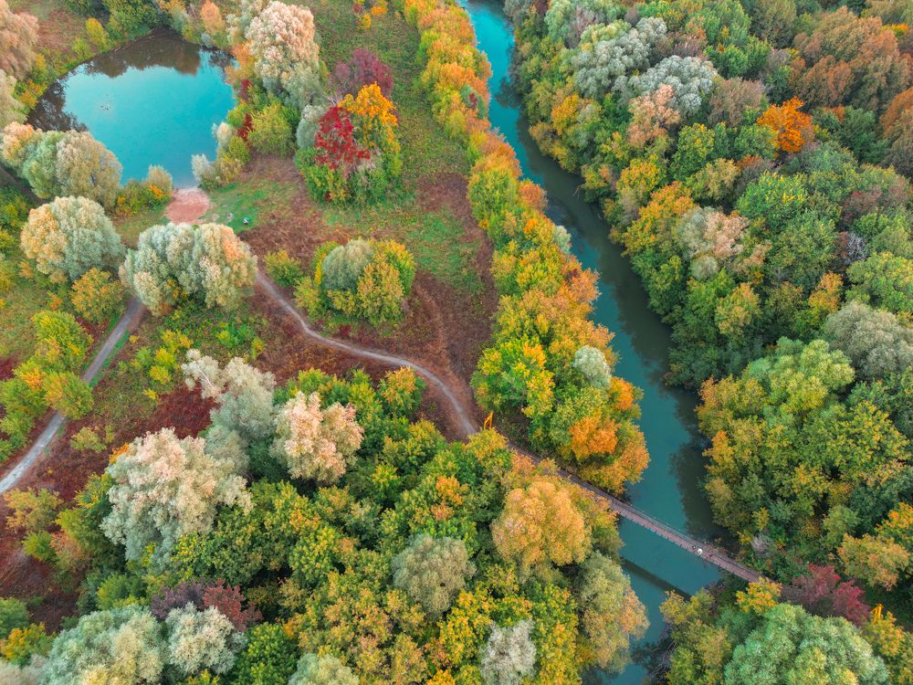 Photograph by Ксения Илюшина