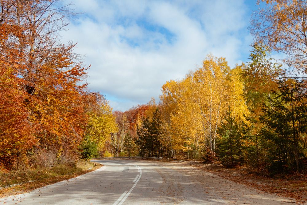 Photograph by Трайко Байко