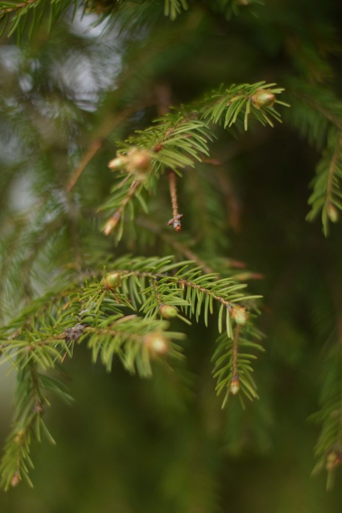 Photograph by Юля Шуравенкова