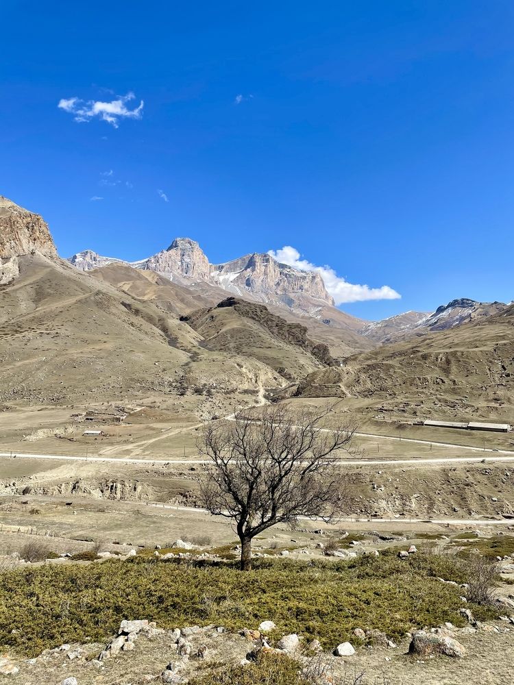 Photograph by Марина Белянских