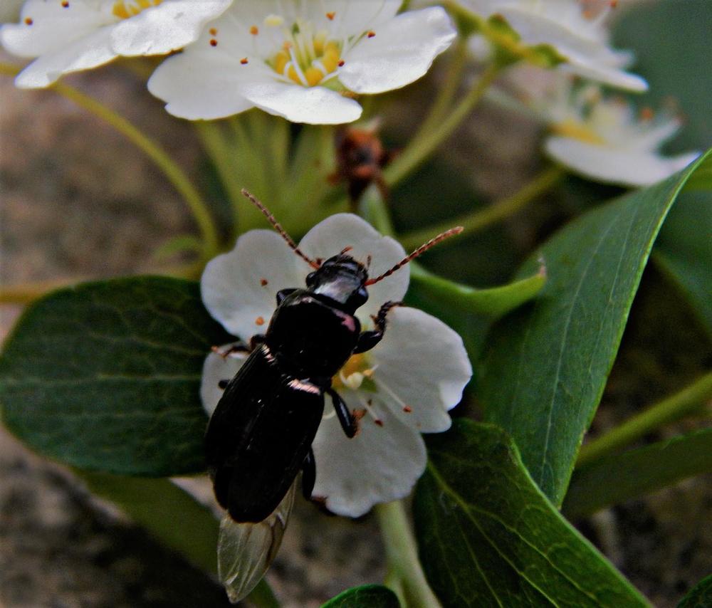 Photograph by Ирина Самойленко