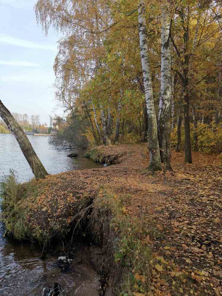 Photograph by Татьяна Артник