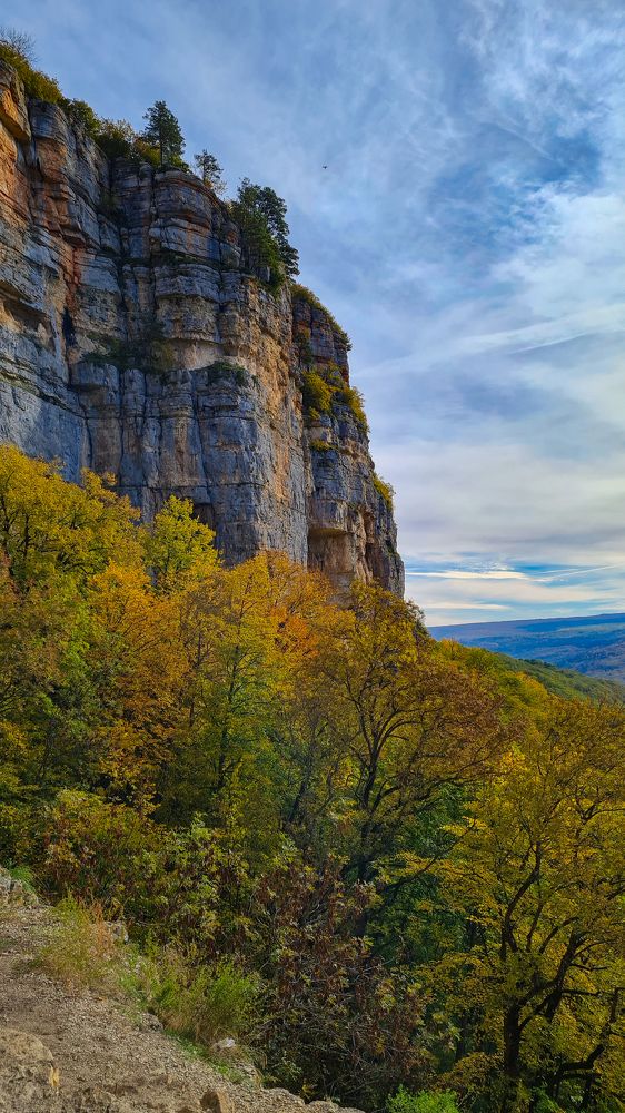 Photograph by Инна Майорова