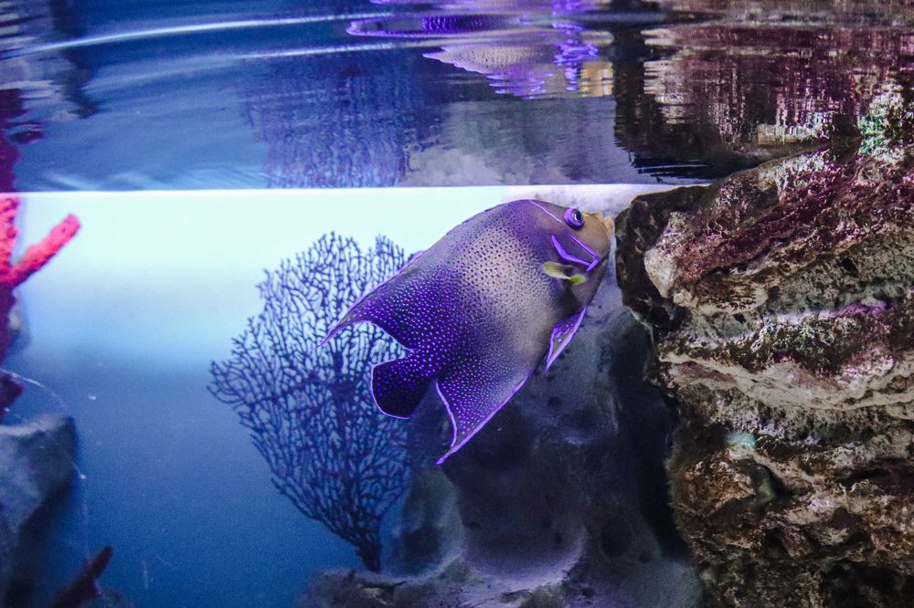 Photograph by Екатерина Смольникова