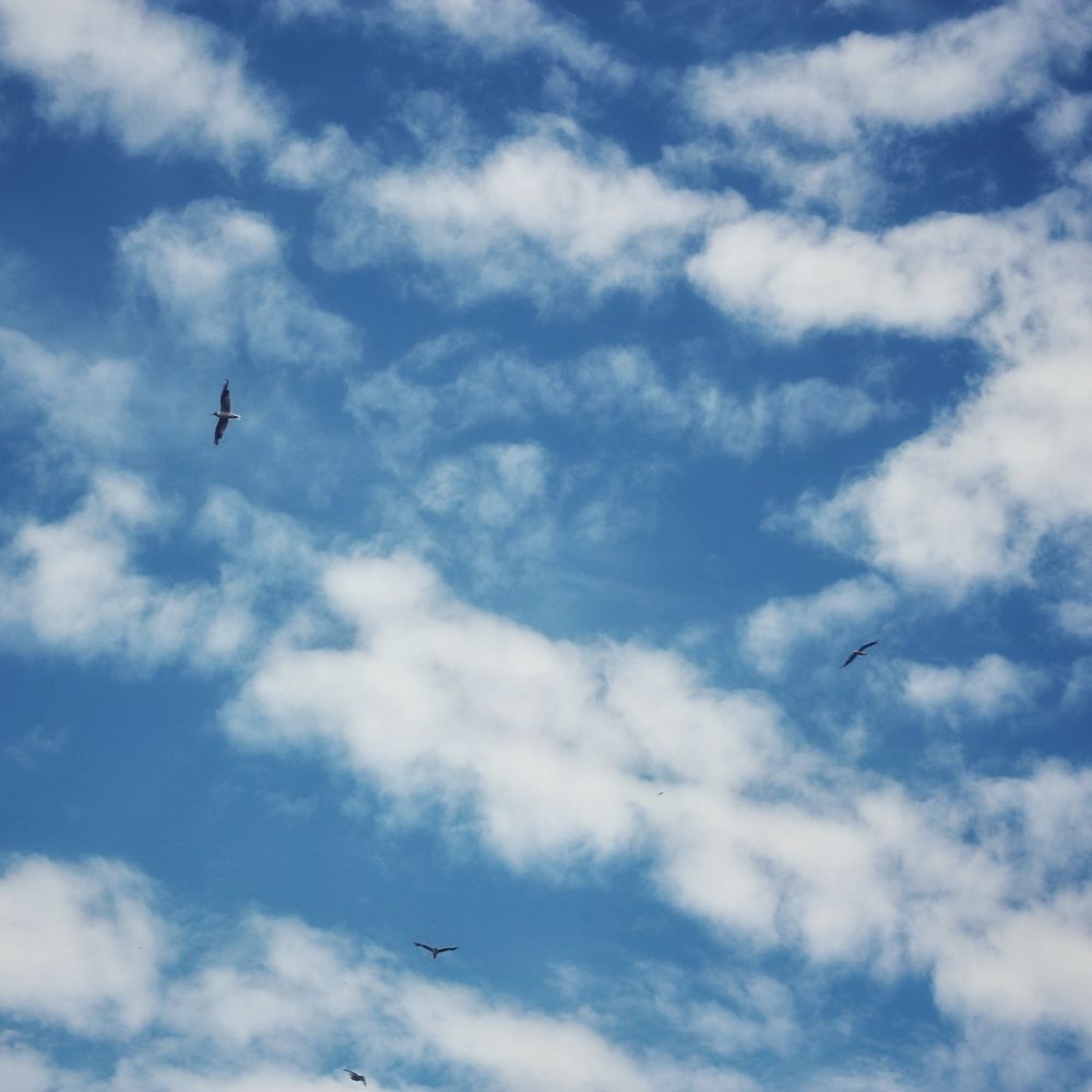 Photograph by Елена Глуховкина