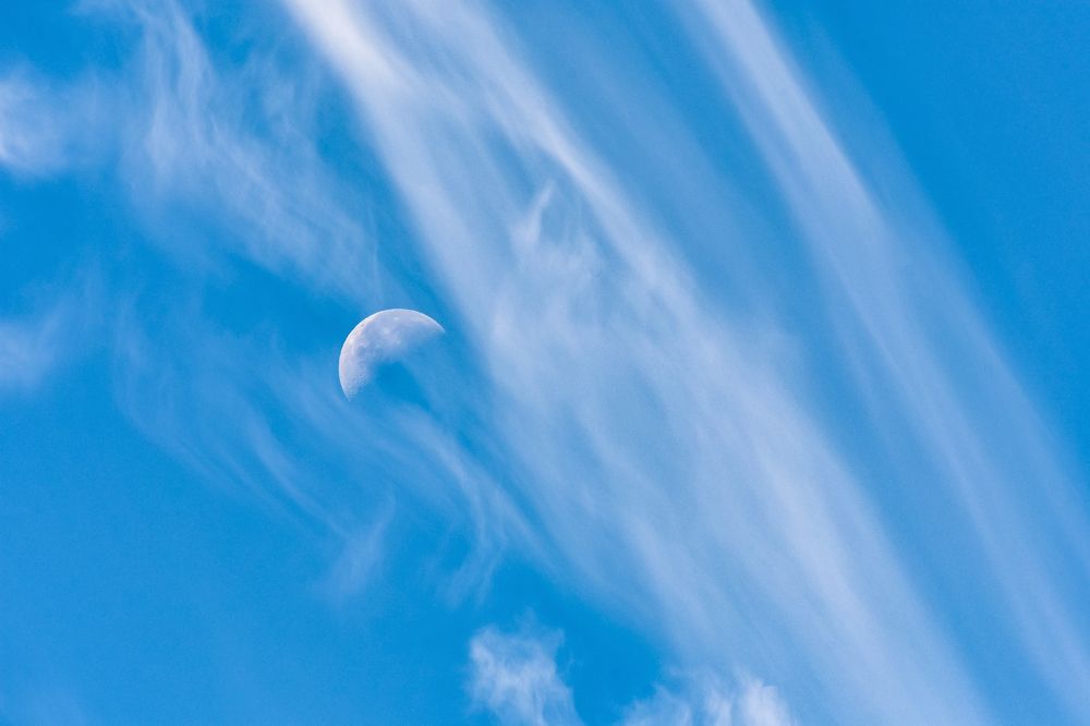 Photograph by Teresa Molinaro