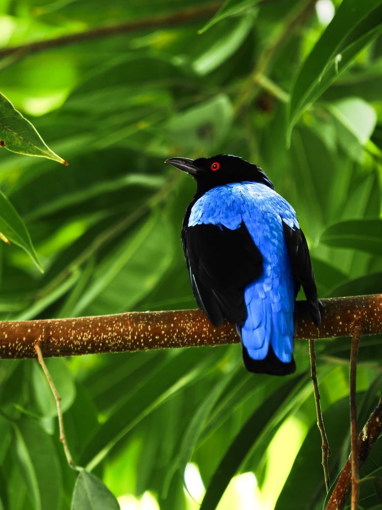 Фотография автора Jaroslav Hanzalík