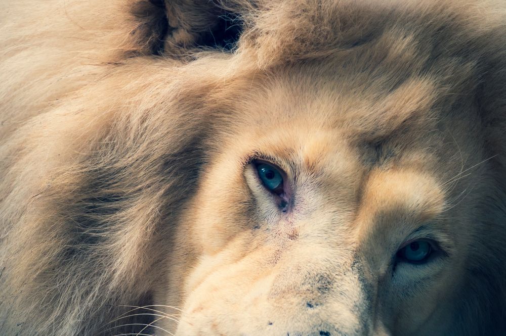 Photograph by Александр Ендин