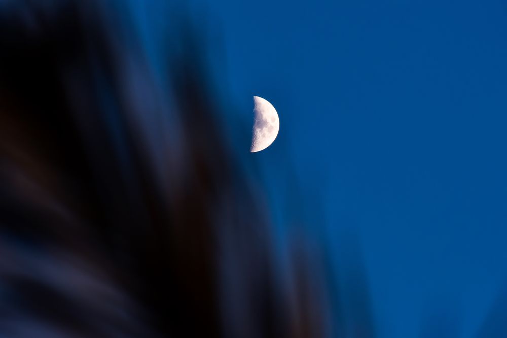 Photograph by Teresa Molinaro