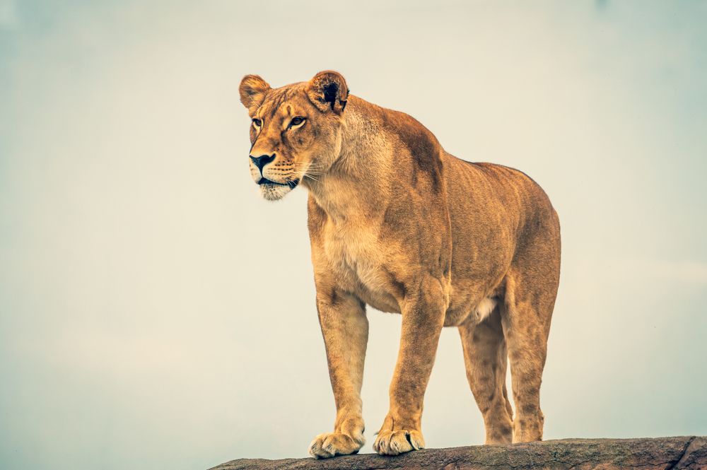 Photograph by Александр Ендин